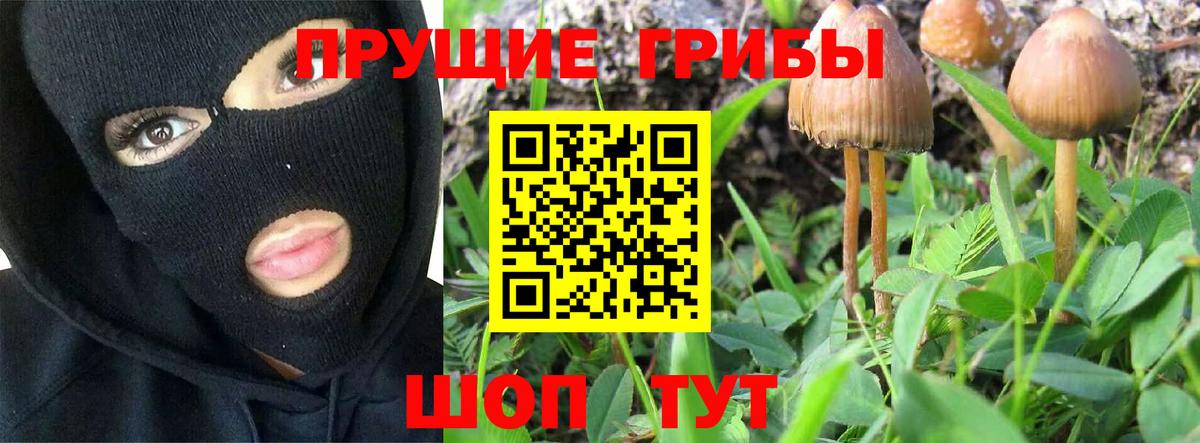 Псилоцибиновые грибы Psilocybine cubensis  Вход с VPN  Сосновоборск  Псилоцибиновые грибы мухоморы 